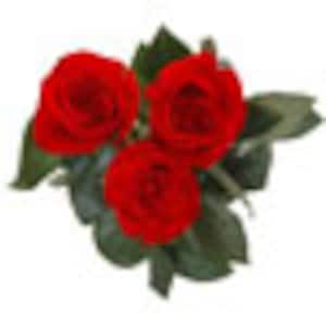Add 3 roses